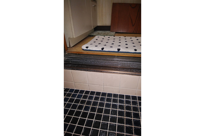 入り口の段差は、250mmもありました