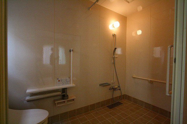 シャワーバーは、ニギリバー兼用のタイプです。