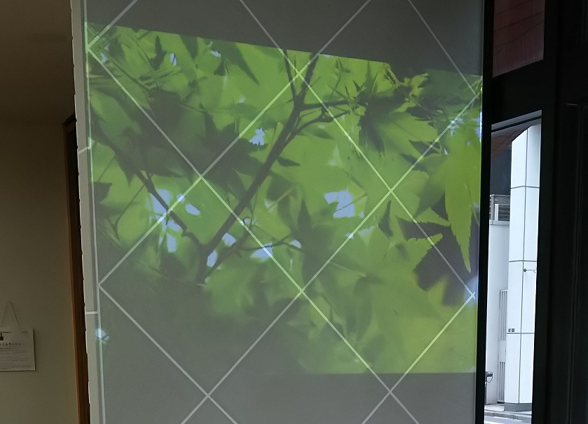 まるでエンターテイメント!アッと驚く体験も