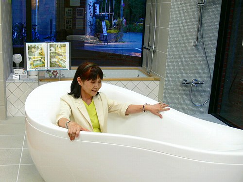 なぜ、「オランダの発展を画策するスカウト トシ子さん」なのか? 理由その1